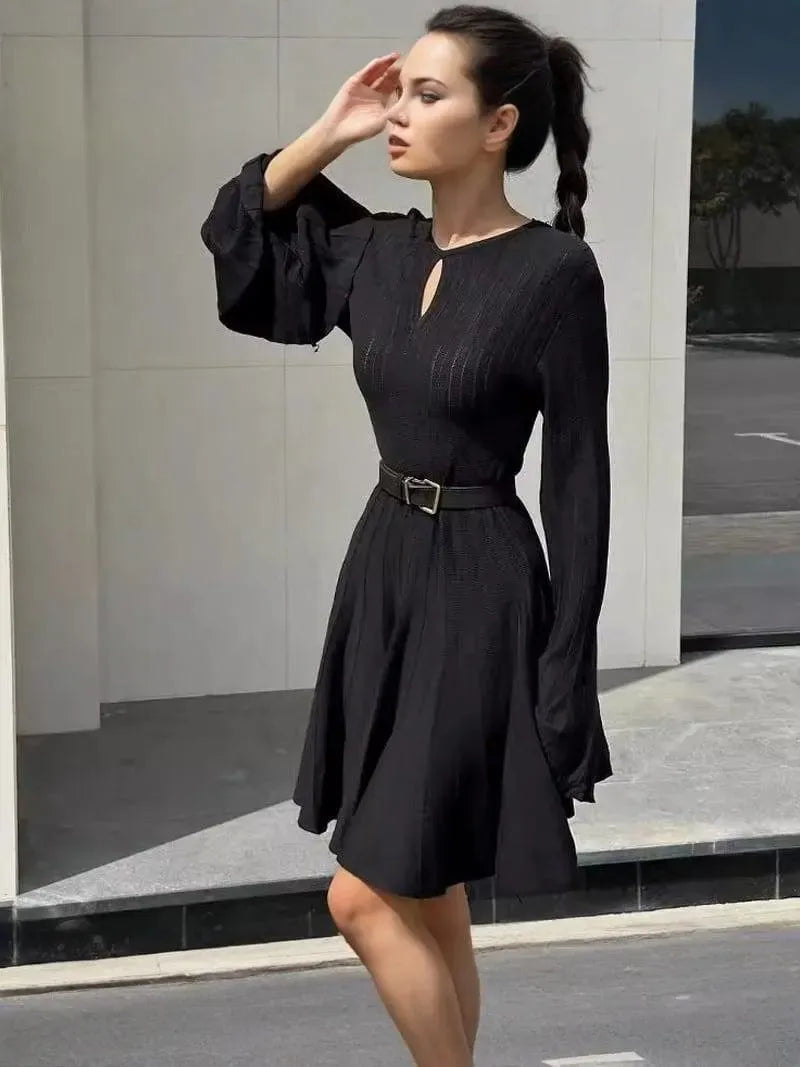 Chic Black Sweater Dress with Round Neck, Flared Sleeves, and Pleated Skirt