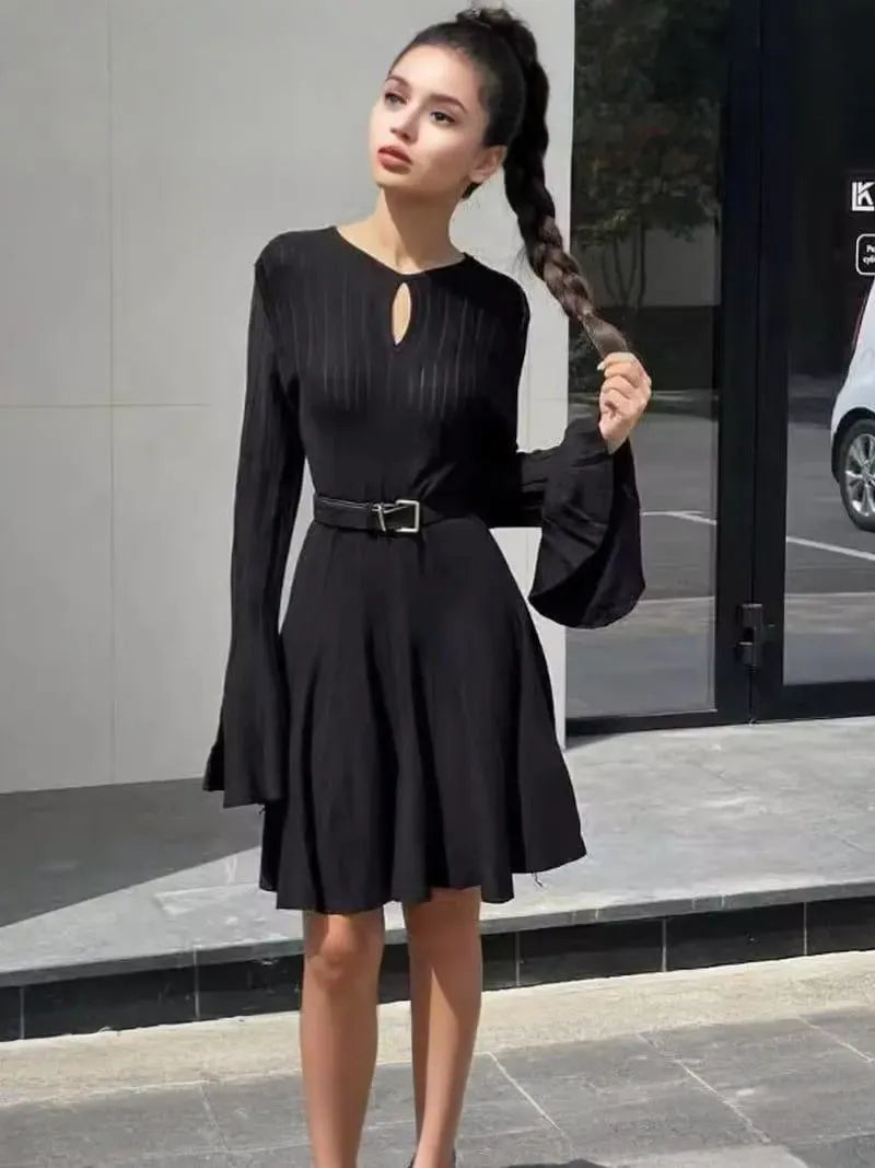 Chic Black Sweater Dress with Round Neck, Flared Sleeves, and Pleated Skirt