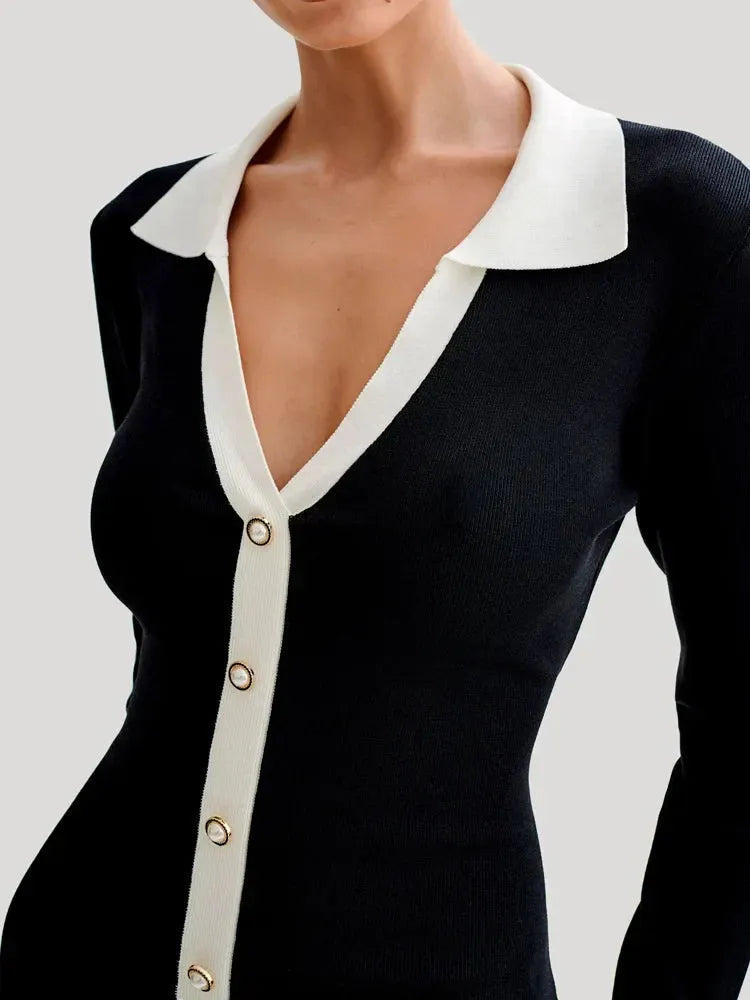 JESSICA | Elegant Black Dress with High Collar and High Waist