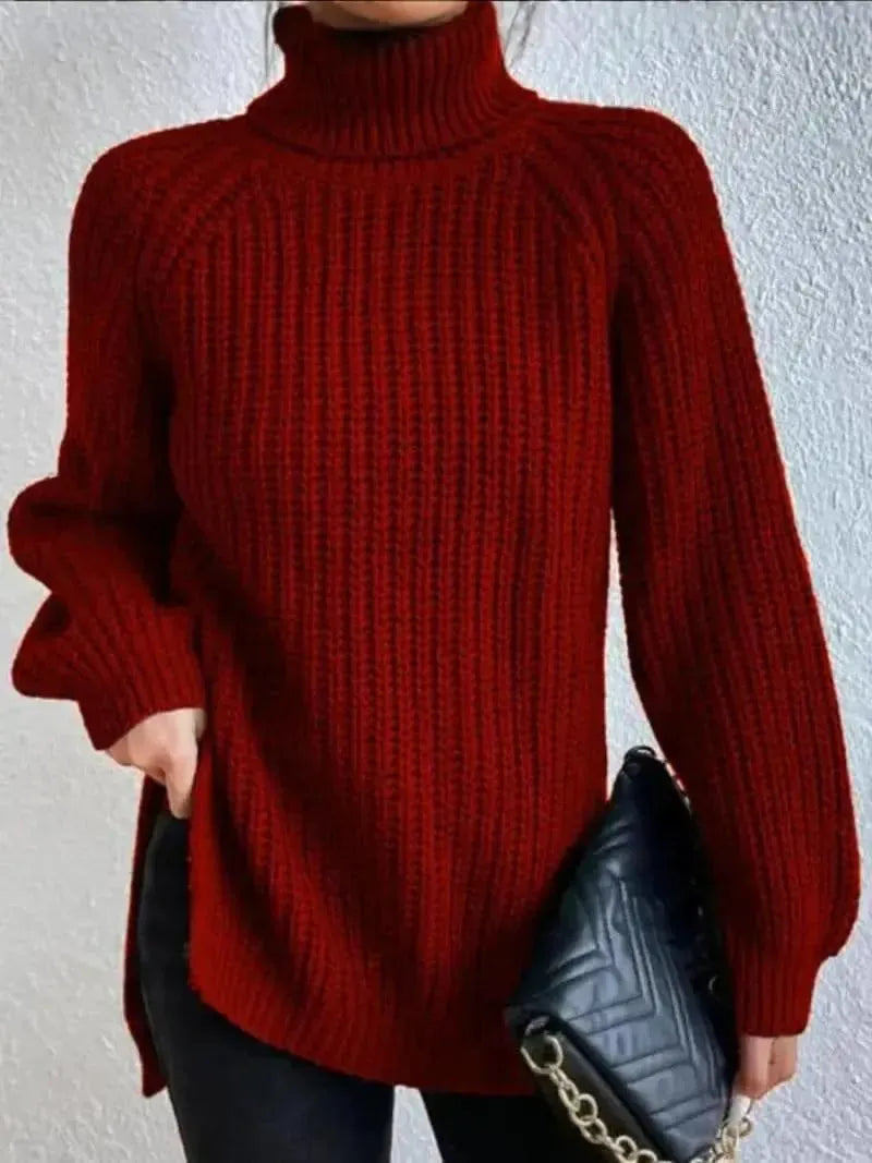 Cozy Long Knit Turtleneck Sweater